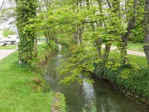 Image7